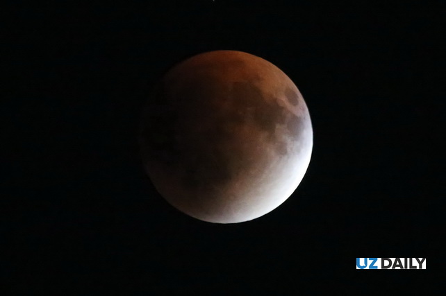 “Blood Moon” Over Tashkent: Uzbekistan Witnesses a Total Lunar Eclipse