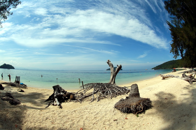 Турпоток из Узбекистана в Малайзию растёт: расширяется авиасообщение и туристическое сотрудничество