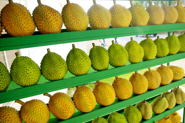 Турпоток из Узбекистана в Малайзию растёт: расширяется авиасообщение и туристическое сотрудничество