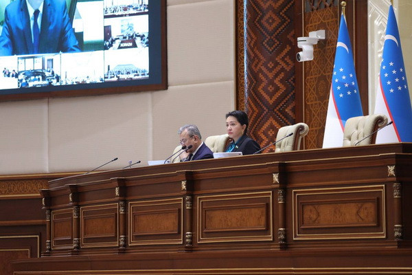 Senate considers information on the state of implementation of Uzbekistan’s international obligations in the field of human rights