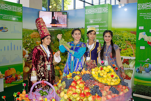 Uzbekistan intends to export 1.2m tonnes of fruits, vegetables in 2018