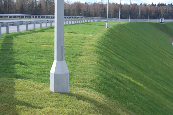 Uzbekistan adopts programme on greening roadsides