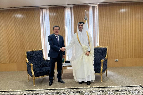 Vladimir Norov meets with the Minister of Foreign Affairs of Qatar