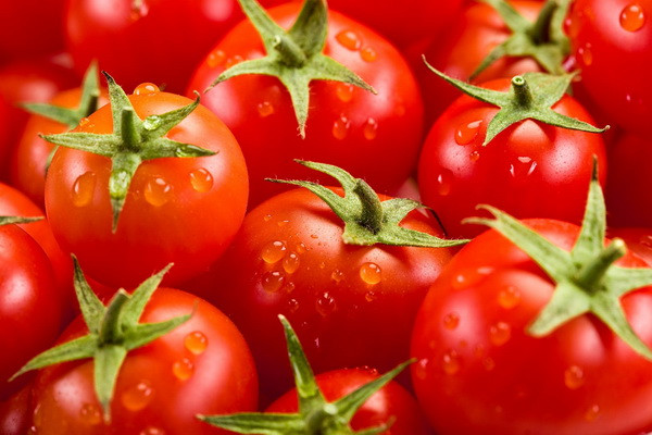 Why did the price of tomatoes rise in Uzbekistan?