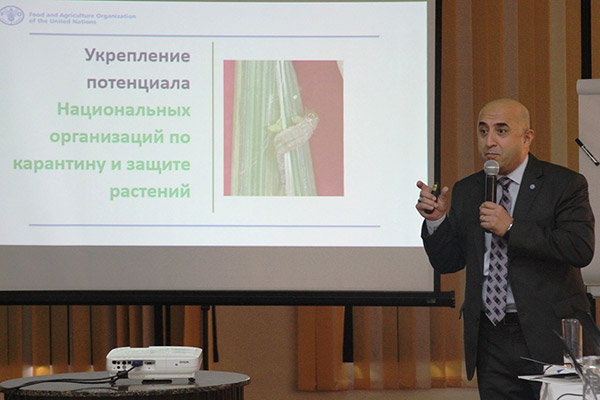 Министерства сельского и водного хозяйства и ФАО запускают новый проект по семеноводству, защите сортов растений и фитосанитарии