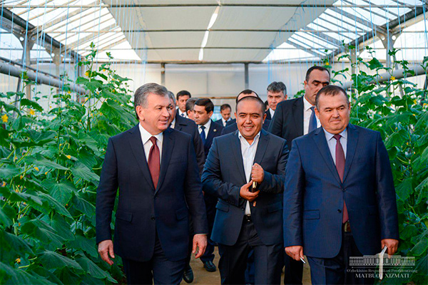 Президент поручил создать больше экономичных теплиц