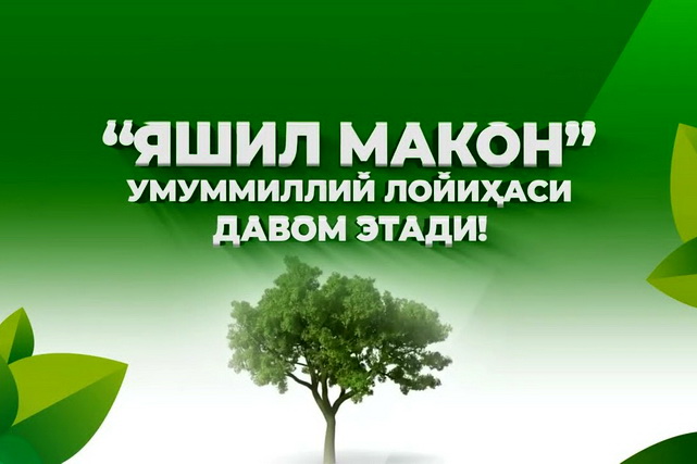 Uzbekistan to plant 200 million trees and shrubs in 2025