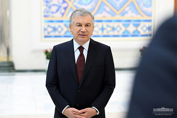 Projects in the areas of trade, service and culture were presented to the President