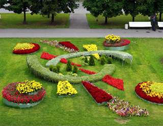 Правительство утвердило программу развития ландшафтного дизайна