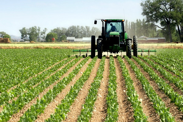 Farmers to be allowed to choose a cluster within the region and sell surplus crops