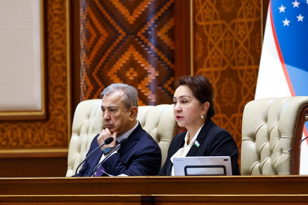The activities of the Commissioner for Human Rights (Ombudsman) in 2023 were discussed