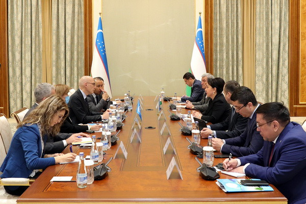 Chairperson of the Senate holds a meeting with the UN High Commissioner for Human Rights