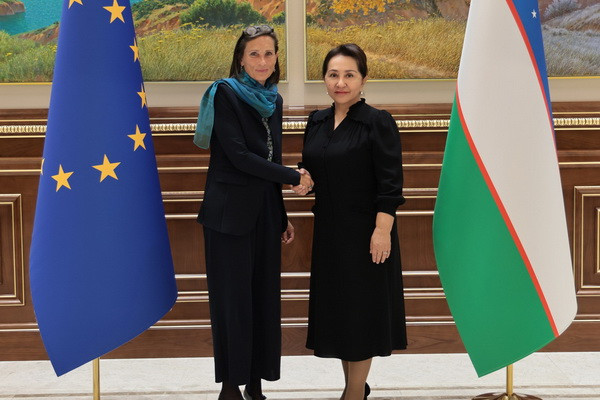 Practical aspects of cooperation between the parliaments of Uzbekistan and member states of the European Union were discussed