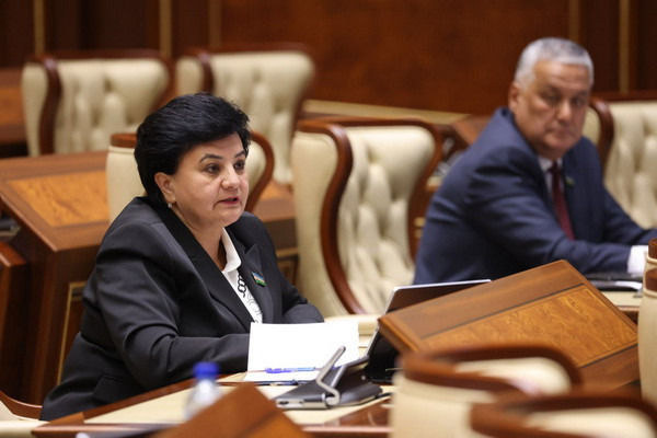 Senate approves treaty between Uzbekistan and Vietnam on mutual legal assistance in criminal matters