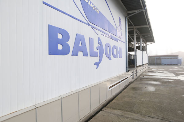 Baliqchi to purchase equipment in Great Britain