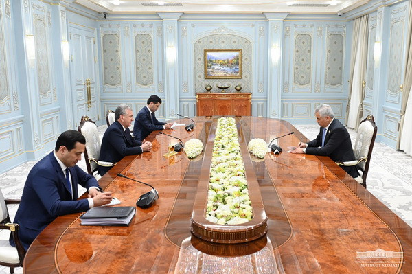 President of Uzbekistan notes the importance of comprehensive preparation of the agenda of the ECO Summit