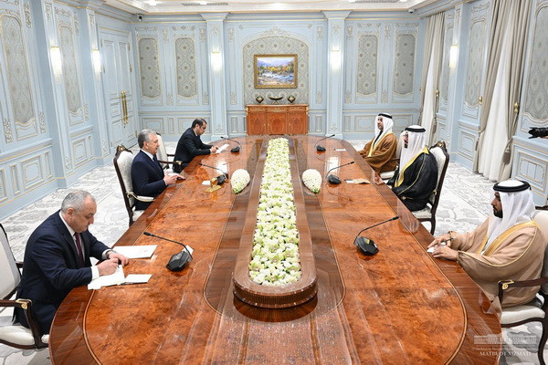 President of Uzbekistan emphasizes the importance of increasing multifaceted cooperation with the UAE