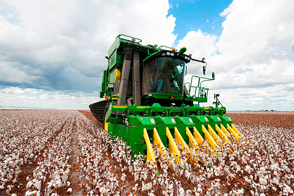Snow on the Plains: How Uzbekistan’s Cotton is Weaving a New Global Destiny