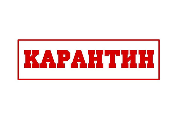 Опубликован список районов и городов по уровню карантина