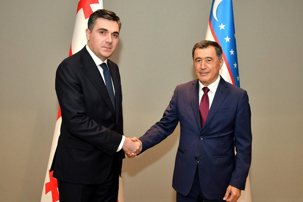 Uzbek, Georgian FMs discuss development of bilateral ties
