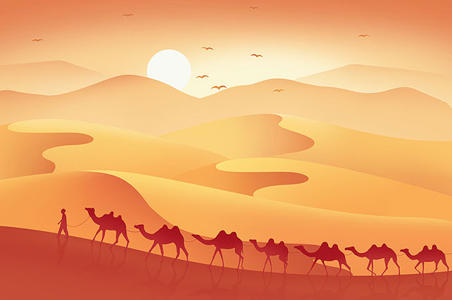 Silk Road cinema connecting cultures and forging cooperation across borders