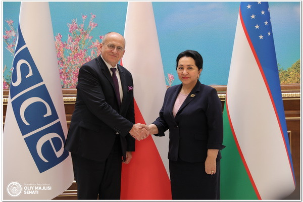 Senate Chairwoman discusses with OSCE Chairperson-in-Office Issues of Further Development of Cooperation
