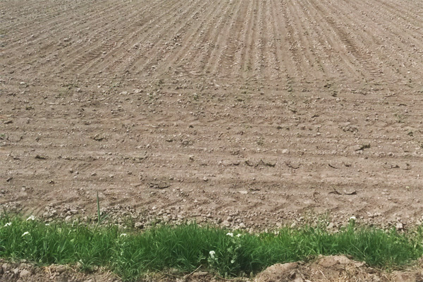 Farmers of Karakalpakstan are invited to the land laser levelling workshop