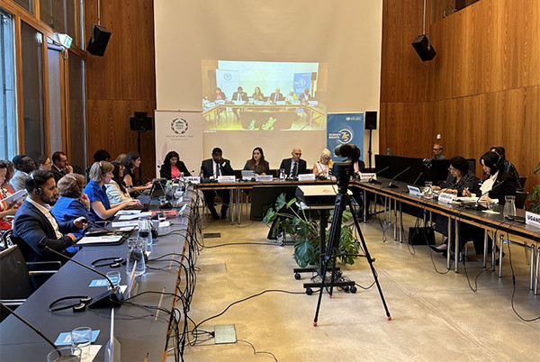 A delegation of the Oliy Majlis takes part in the international "round table" in Geneva