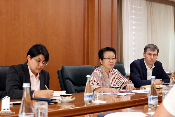 A meeting with the delegation of the Asian Infrastructure Investment Bank