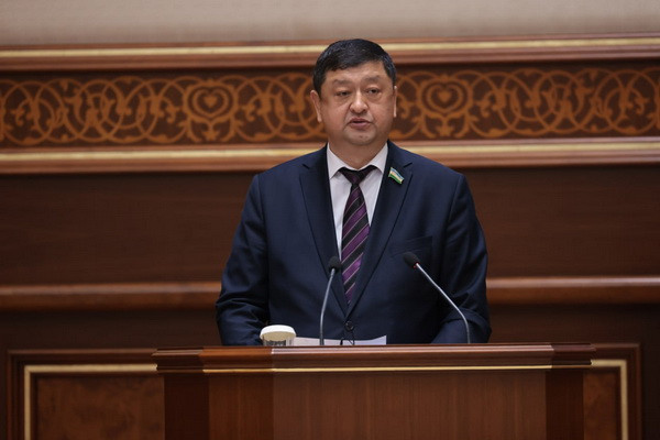 The Senate approves the Law “On the Ratification of the Agreement on the Establishment of the Turkic Investment Fund”