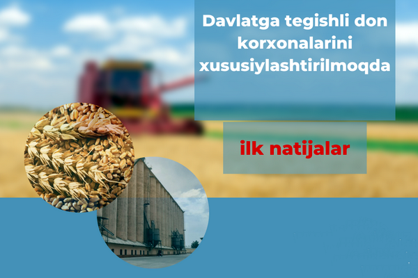 The first results on the privatization of grain enterprises have been achieved