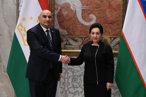 The Chairman of the Senate of Uzbekistan meets with the Chairman of the Majlisi Namoyandagon Majlisi Oli of Tajikistan