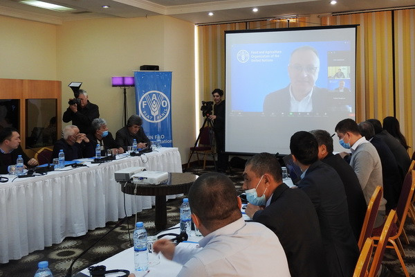 FAO supports potato sector recovery in response to COVID-19