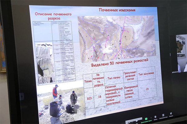 Озеленение осушенного дна Аральского моря: практическая работа и конкретные результаты