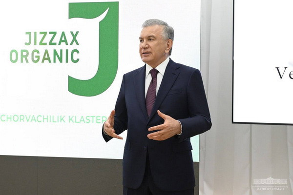 Президент ознакомился с деятельностью животноводческого кластера «Jizzax Organic»