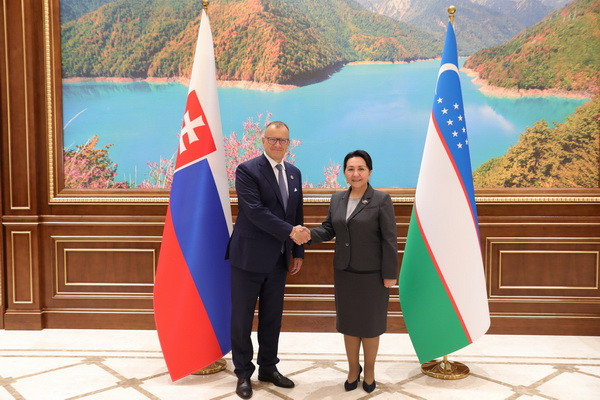 Uzbekistan-Slovakia: issues of inter-parliamentary cooperation discussed