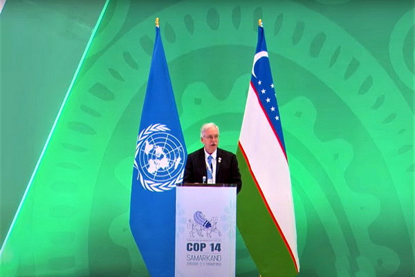 FAO highlights the unity of Central Asian countries towards the conservation of migratory species