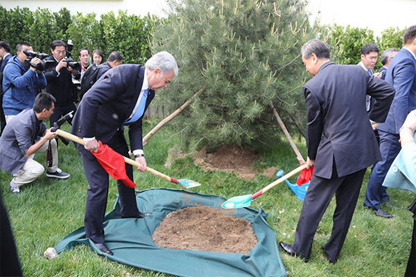 “Lawn SCO” created in Beijing