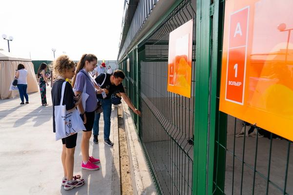 A presentation of the shelter for homeless animals "Mehr" was held in Pskent district