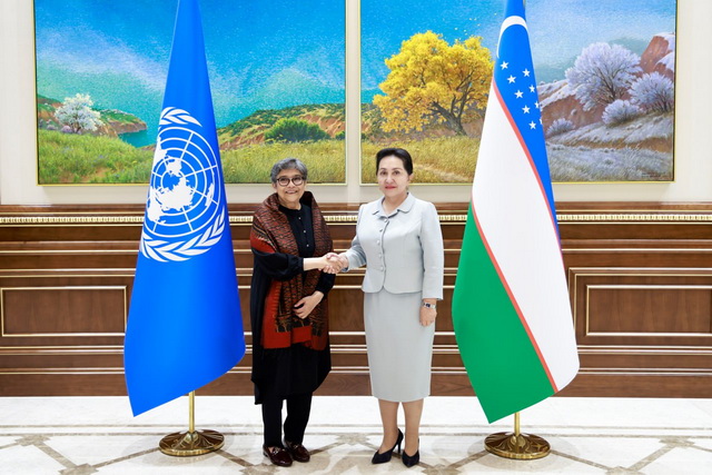 Senate hosts a meeting with UN Secretary-General’s High Representative