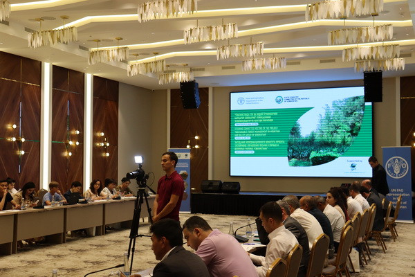 Further work on sustainable forest management is discussed in Tashkent