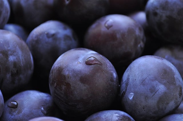 Uzbekistan exported 32,900 tons of plums worth US$26.4 million