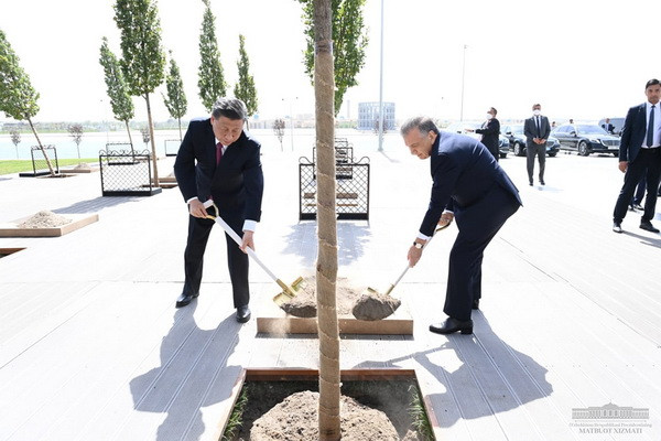 The leaders of Uzbekistan and China plant a tree as a symbol of friendship between people