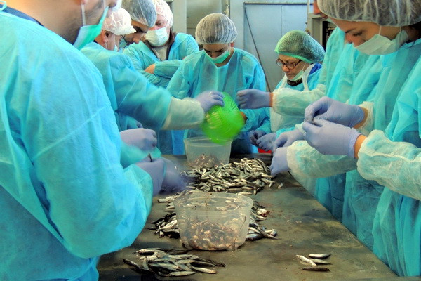 FISHCap project places Uzbekistan’s fishery and aquaculture industry under the spotlight
