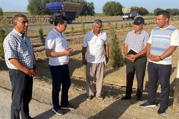 Сирдарёликлар муаммолари ўз ечимини топмоқда