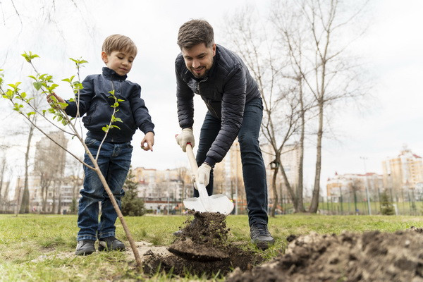 109 officials, who did not fully comply with the requirements for caring for tree seedlings, were fined 311 million soums