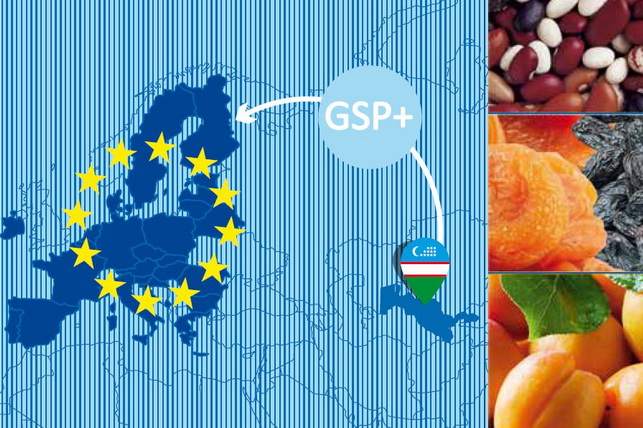 Uzbekistan Develops Export Guidelines for the EU Market