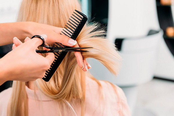 Prices for hairdressing services rose by an average of 1.2% per month