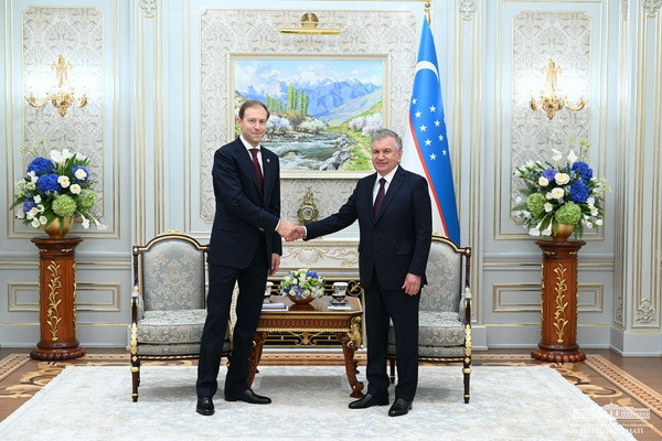 Shavkat Mirziyoyev holds a meeting with the Minister of Industry and Trade of the Russian Federation