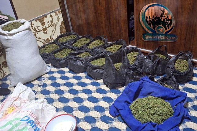 В Чиракчинском районе изъяли более 20 кг марихуаны у местного жителя